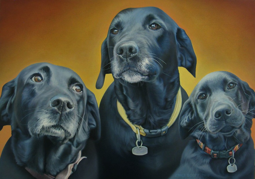 Dogs portrait painting